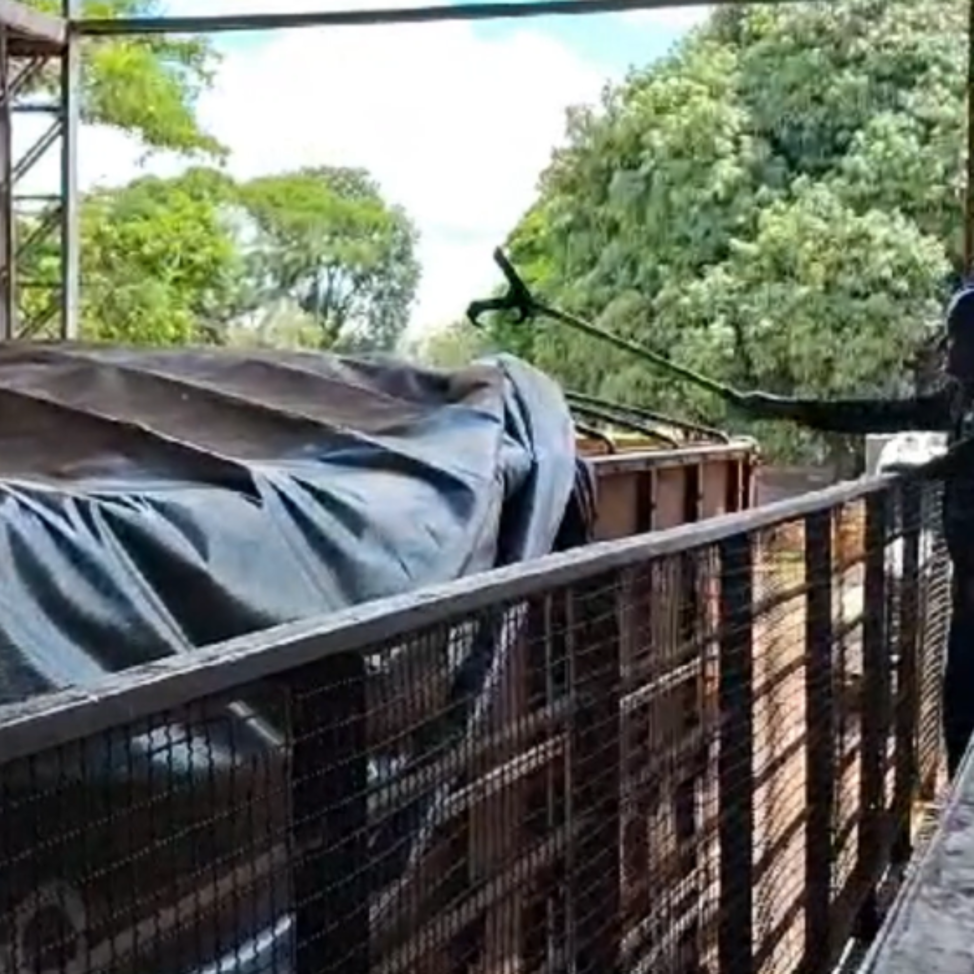 Operador utilizando bastão para posicionar e ajustar lonas em caminhões com segurança.